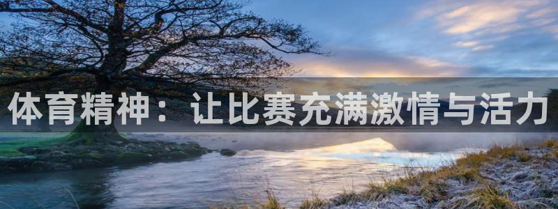 v66体育官网入口：体育精神：让比赛充满激情与活力
