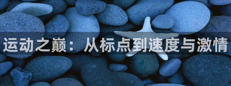 v66体育平台是正规的吗：运动之巅：从标点到速度与激情