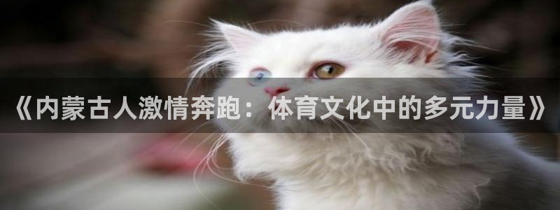 v66体育：《内蒙古人激情奔跑：体育文化中的多元力量》