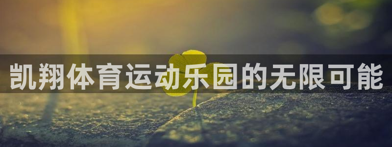 v66体育彩票平台能提现吗：凯翔体育运动乐园的无限可能