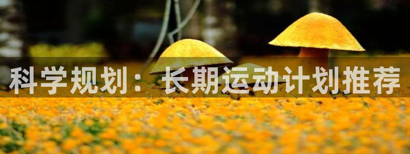 v66体育彩票平台正规吗可靠吗：科学规划：长期运动计划推荐
